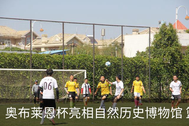 奥布莱恩杯亮相自然历史博物馆 篮筐竟是标准尺寸想投